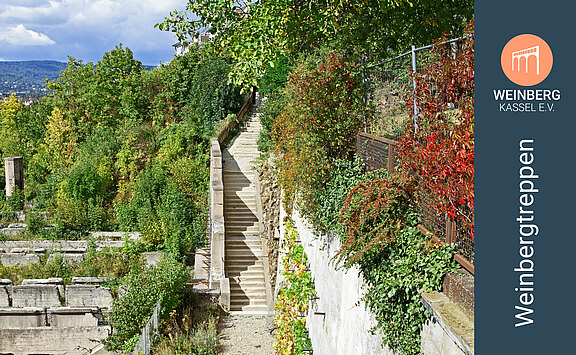 header_weinbergtreppen2.jpg  